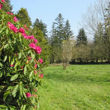 Farmyard At Kerespars, 3 Houses, Sleeps 30 With Pool Holiday home *